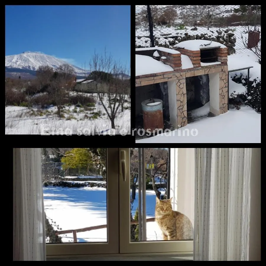 Etna, Salvia E Rosmarino Villa Maletto Italy
