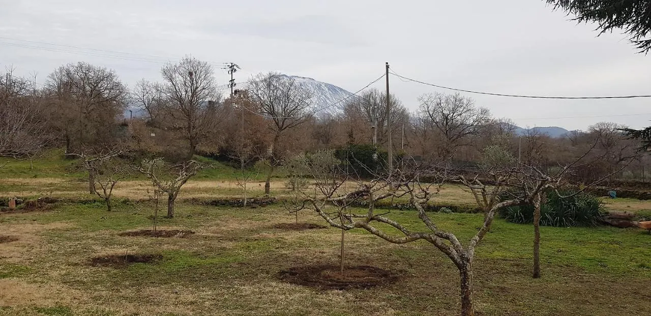 Etna, Salvia E Rosmarino Villa Maletto