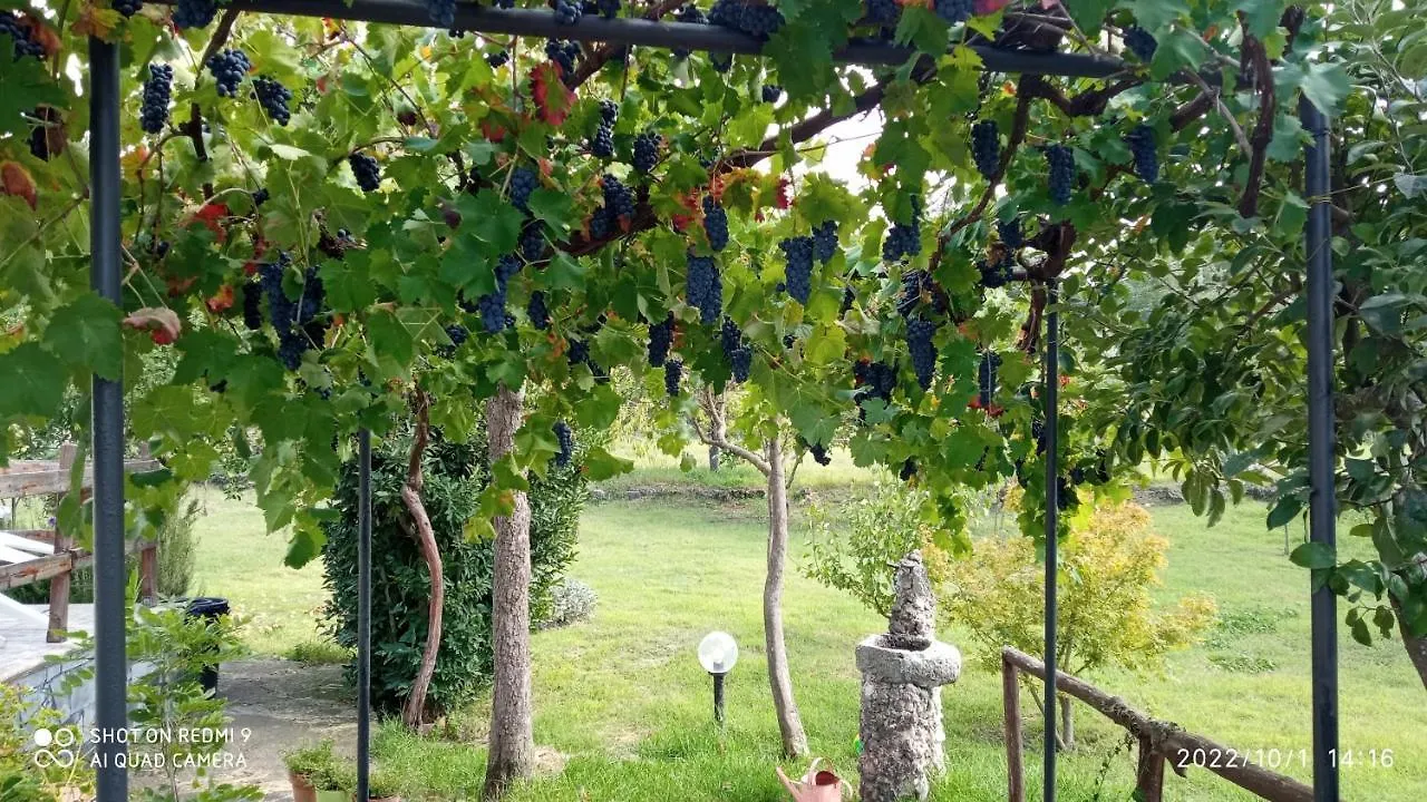 Etna, Salvia E Rosmarino Villa Maletto Holiday home