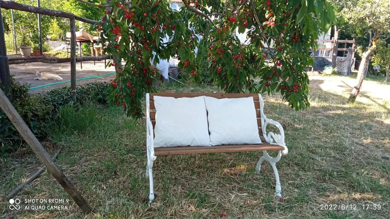 בית נופש הוילה Maletto Etna, Salvia E Rosmarino איטליה