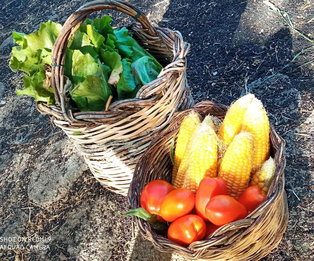 Etna, Salvia E Rosmarino Villa Maletto