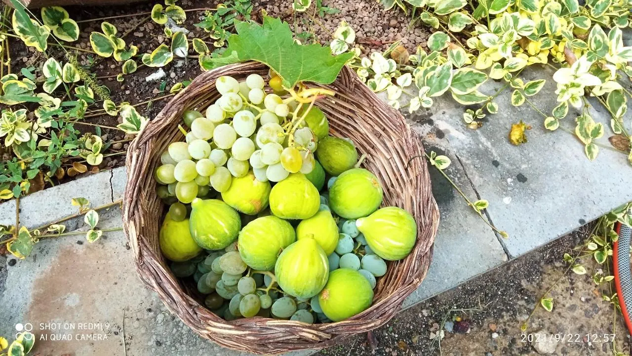 Etna, Salvia E Rosmarino Villa Maletto Holiday home