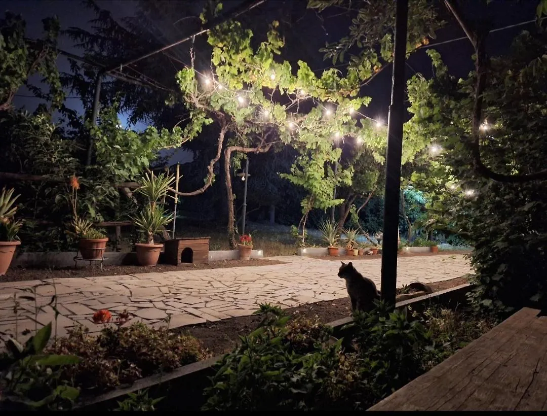 Etna, Salvia E Rosmarino Villa Maletto Italy