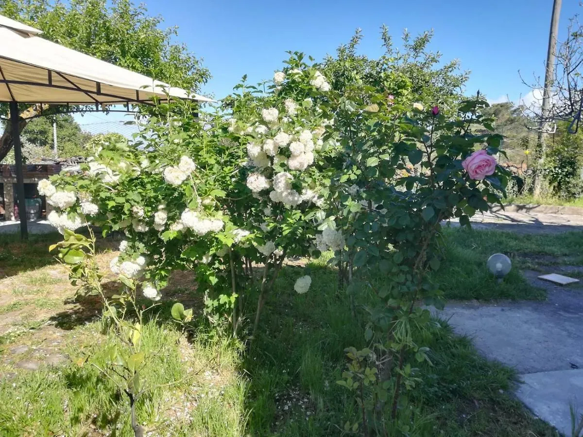 Holiday home Etna, Salvia E Rosmarino Villa Maletto