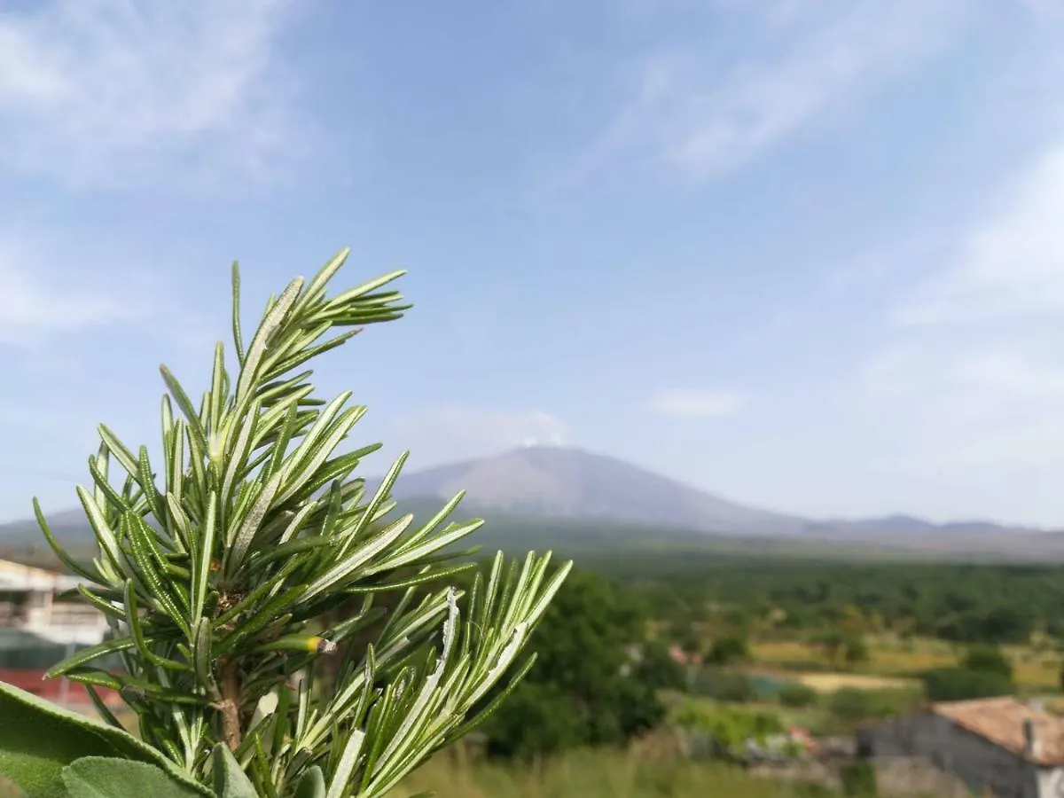 Etna, Salvia E Rosmarino Villa Maletto