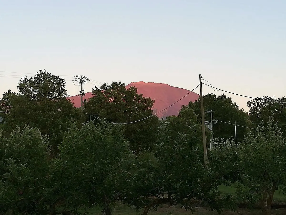 Etna, Salvia E Rosmarino Villa Maletto 0*,  Italy
