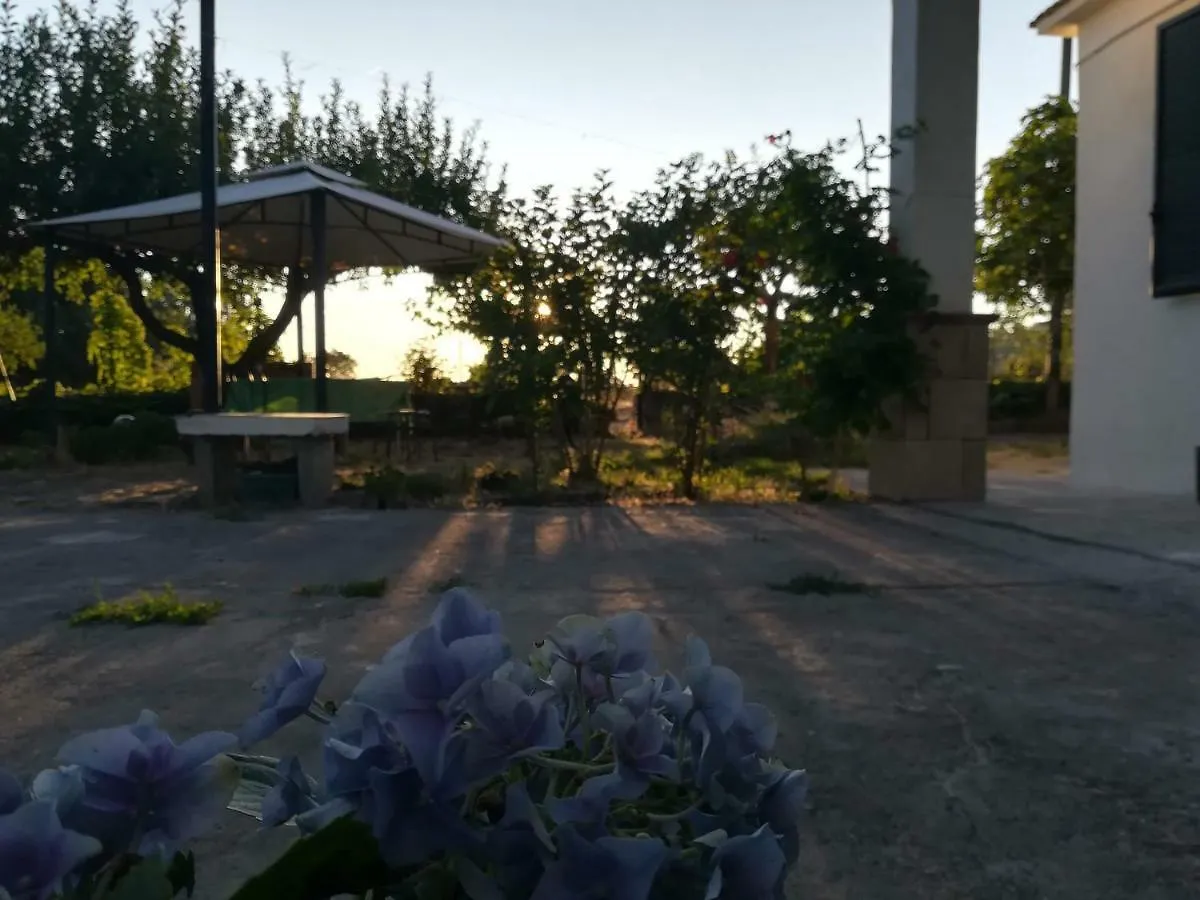 Etna, Salvia E Rosmarino Villa Maletto Holiday home