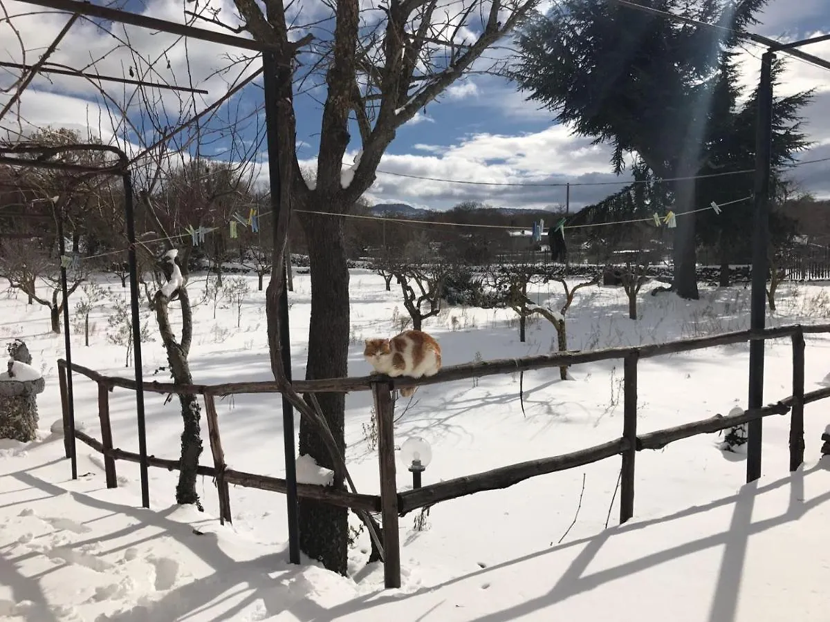 Holiday home Etna, Salvia E Rosmarino Villa Maletto Italy
